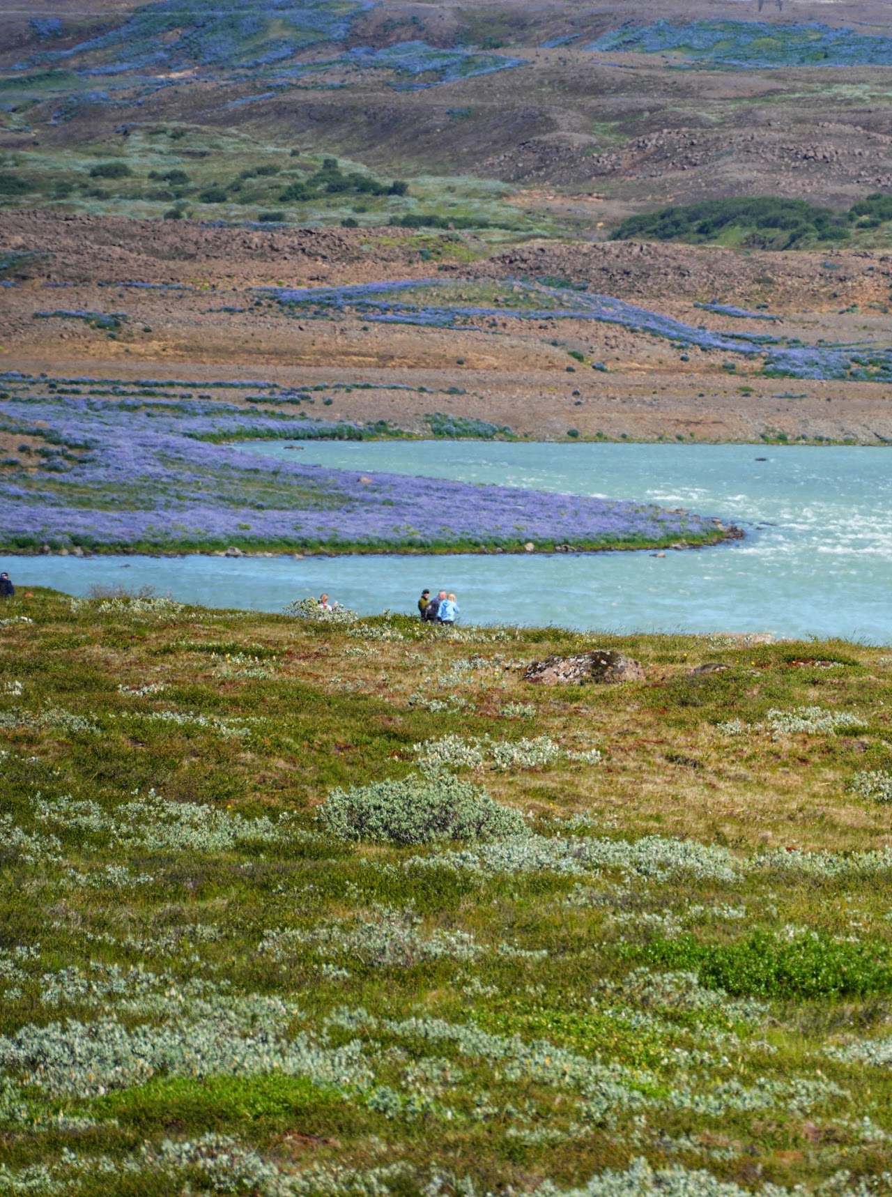 Landscape in Iceland